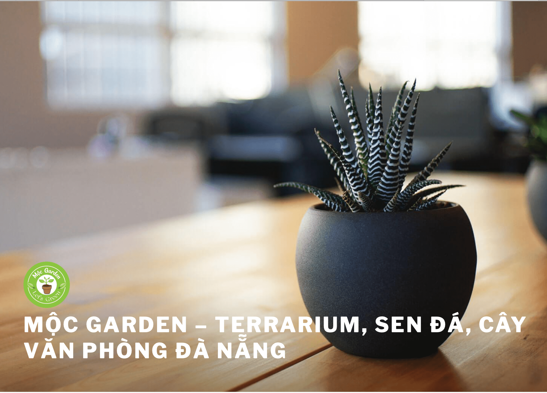 cây cảnh Đà Nẵng