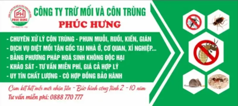 Top 18 Công Ty Diệt Mối Đà Nẵng Tận Gốc Uy Tín