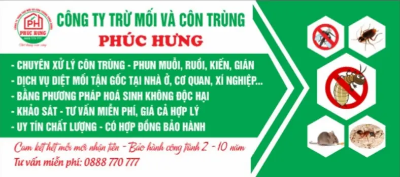 Top 18 Công Ty Diệt Mối Đà Nẵng Tận Gốc Uy Tín