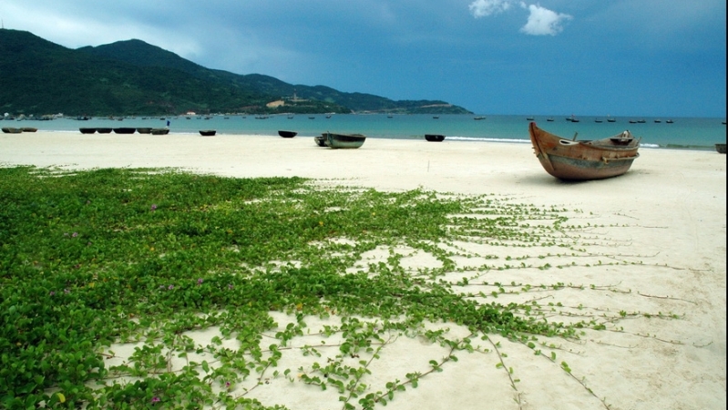 Địa Điểm Chụp Ảnh Đẹp Ở Quảng Trị Bãi Biển Thâm Khê xinh đẹp