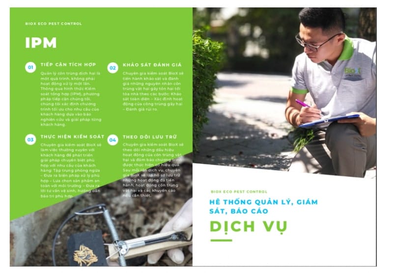 dịch vụ diệt côn trùng tại Hải Phòng