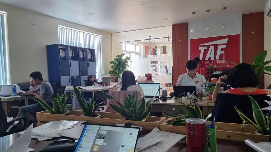 dịch vụ kiểm toán lai châu dịch vụ kiểm toán lai châu