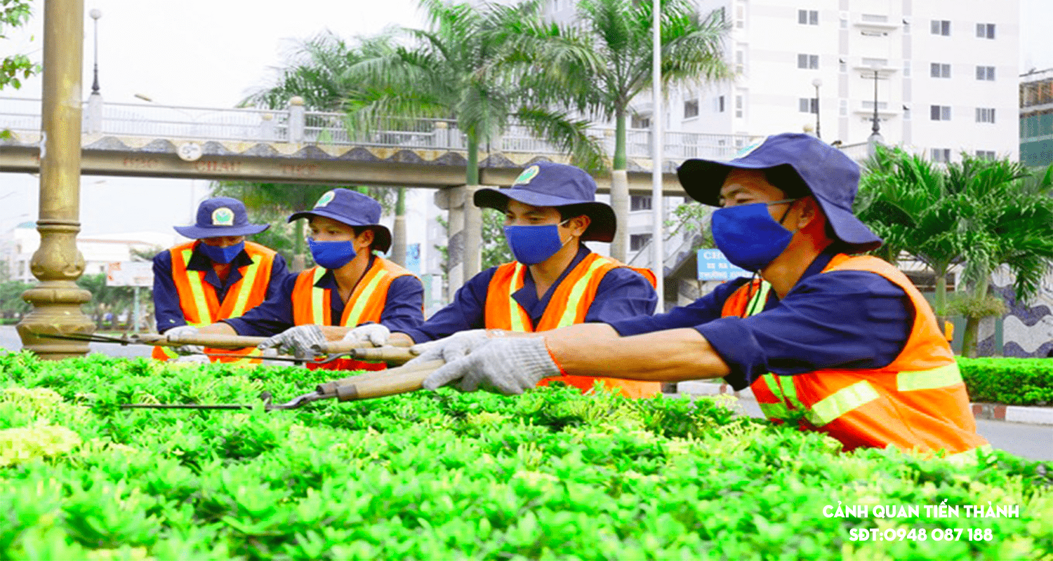 Công ty Phương Trung Green