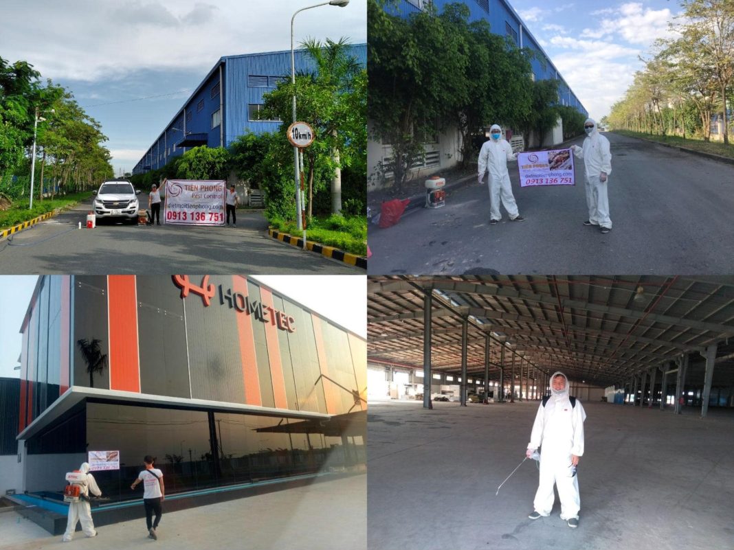 Diệt Côn Trùng Vũng Tàu Diệt Côn Trùng Vũng Tàu