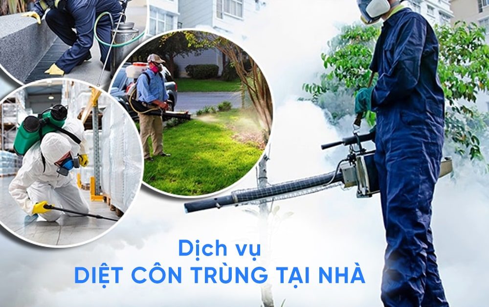 Diệt côn trùng Công Nghiệp SG - VT