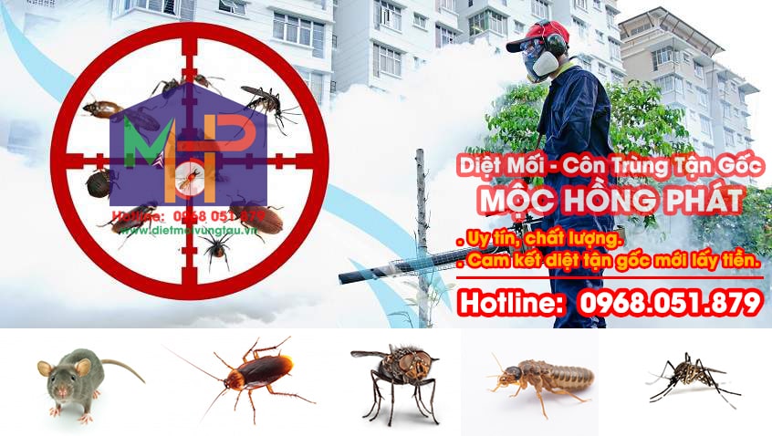 Công Ty Mộc Hồng Phát