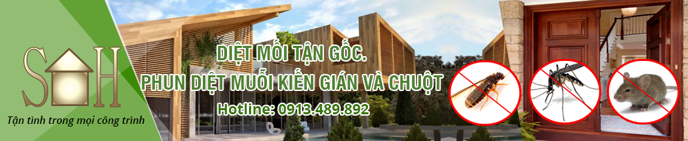 diệt mối bắc ninh