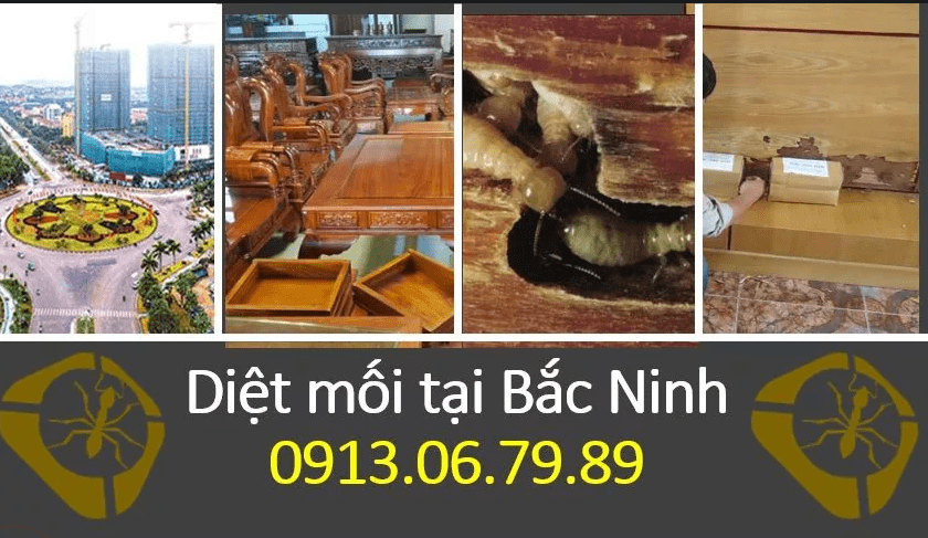 diệt mối bắc ninh