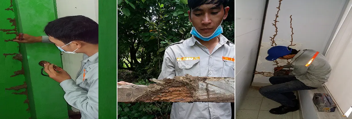 Giá nhôm hệ thuỷ lực Giá nhôm hệ thuỷ lực