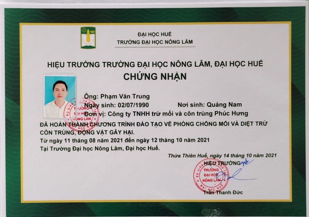 Diệt Mối quãng ngãi Diệt Mối Phúc Hưng