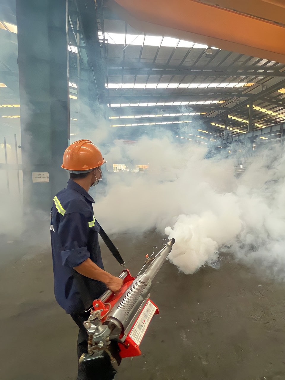 diệt mối quảng ninh diệt mối quảng ninh