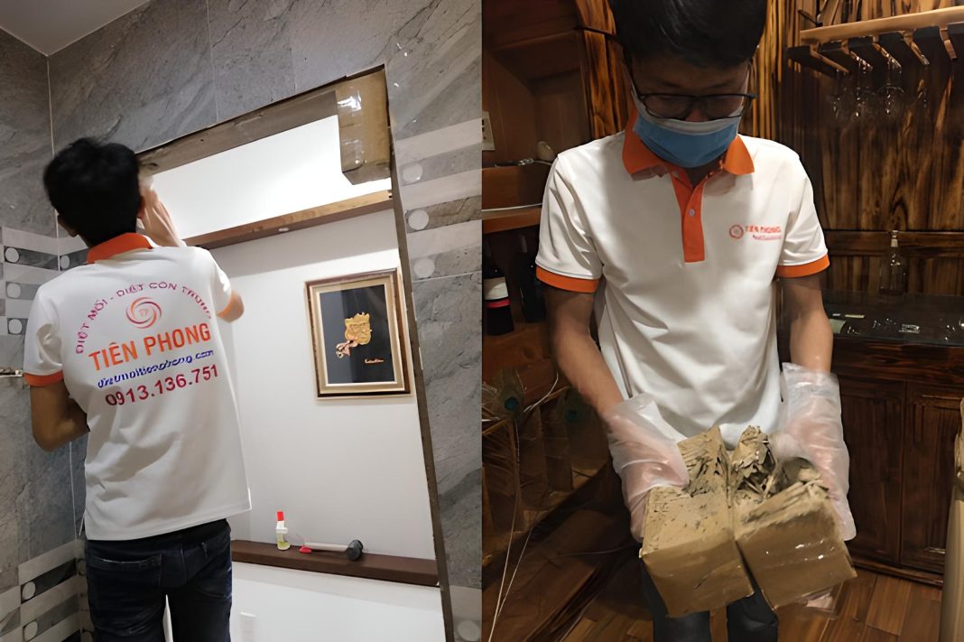 diệt mối phú yên Diệt mối tại Phú Yên