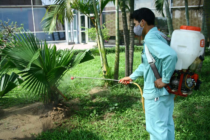 Diệt mối Tuyên Quang Diệt mối Tuyên Quang