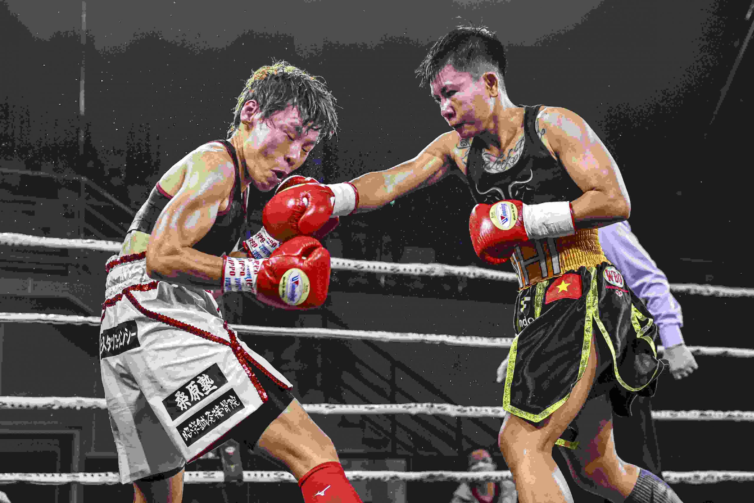 học boxing Nha Trang