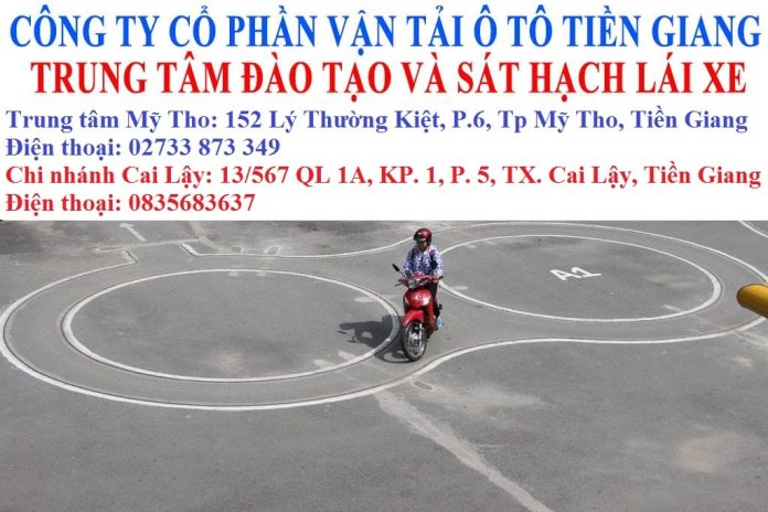 học lái xe nâng tại tiền giang