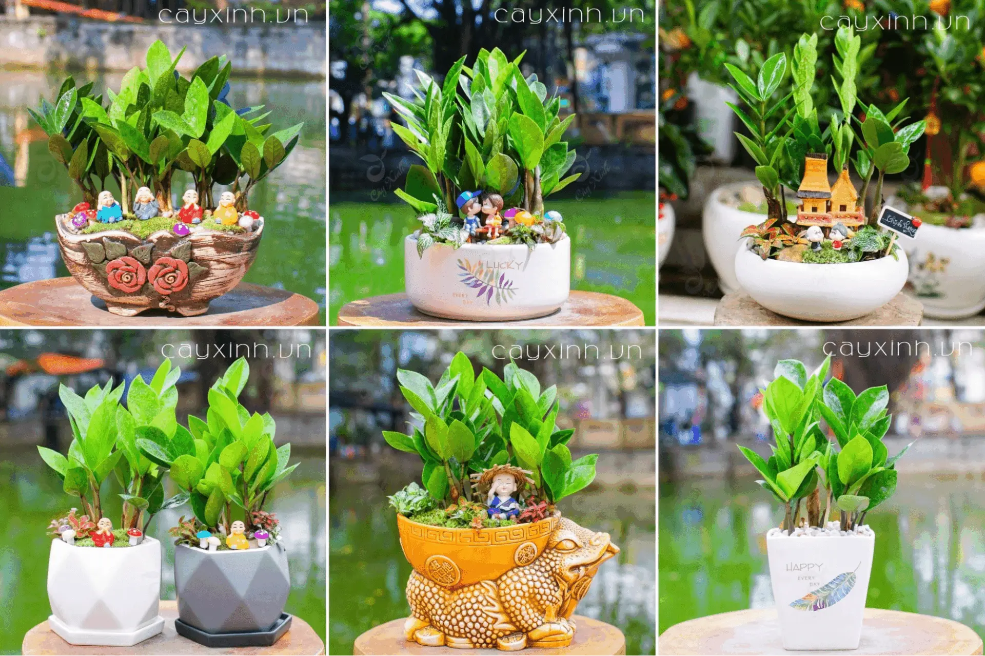 Đừng Bỏ Qua Top 10 Cửa Hàng Cây Cảnh Thanh Hoá Chất Lượng Nhất