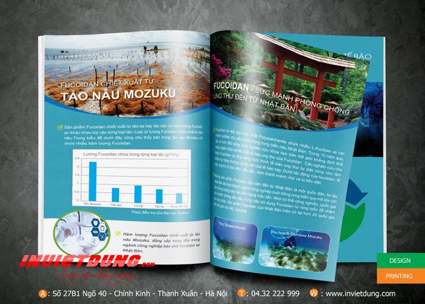 in catalogue tại Hà Nội