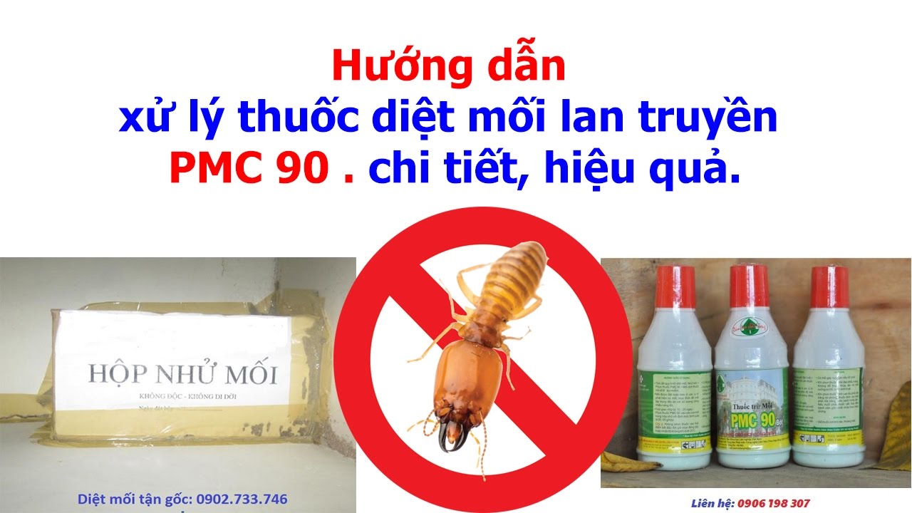 diệt mối Biên Hòa