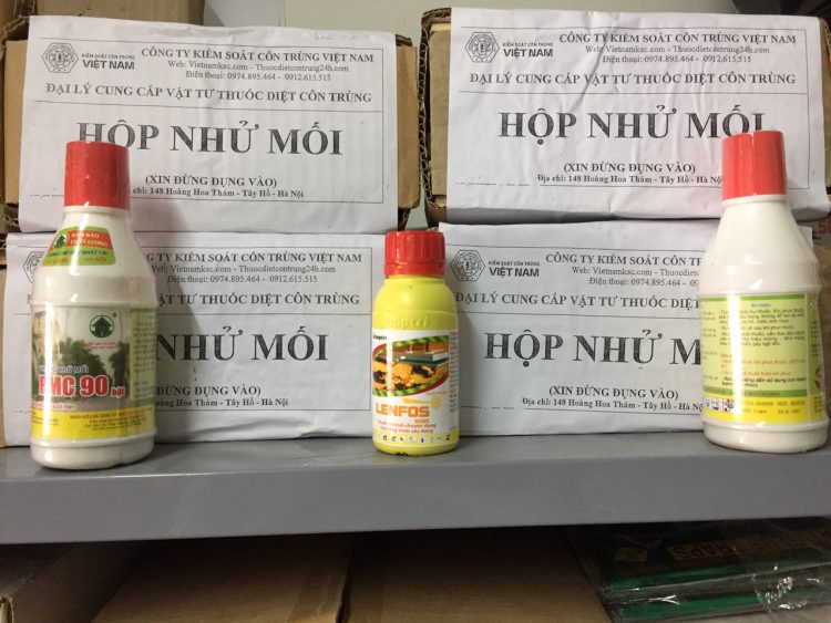 Diệt mối tại Hải Dương Nam Bắc