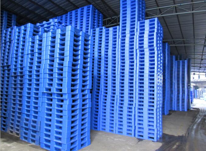 pallet nhựa Bình Dương