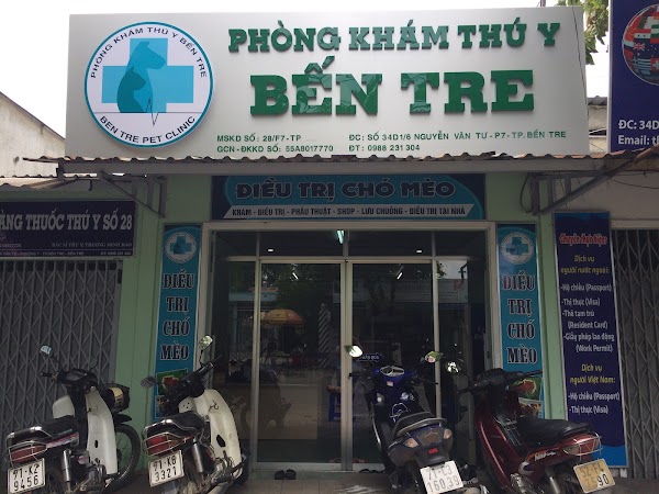 bến tre khám cho thú cưng