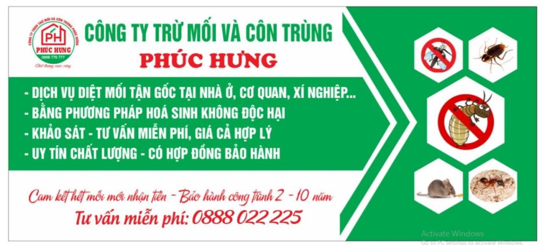 diệt mối tại Huế Công Ty Trừ Mối Phúc Hưng