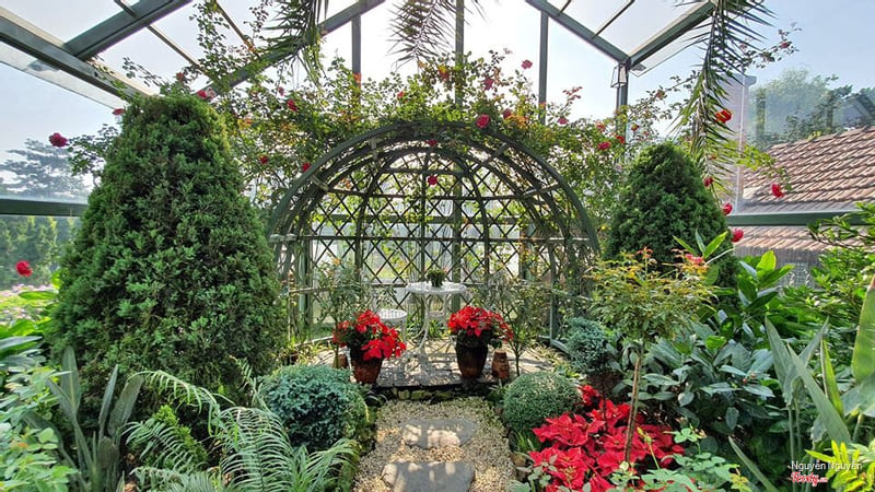 Phim trường Bình Dương Vũ Garden