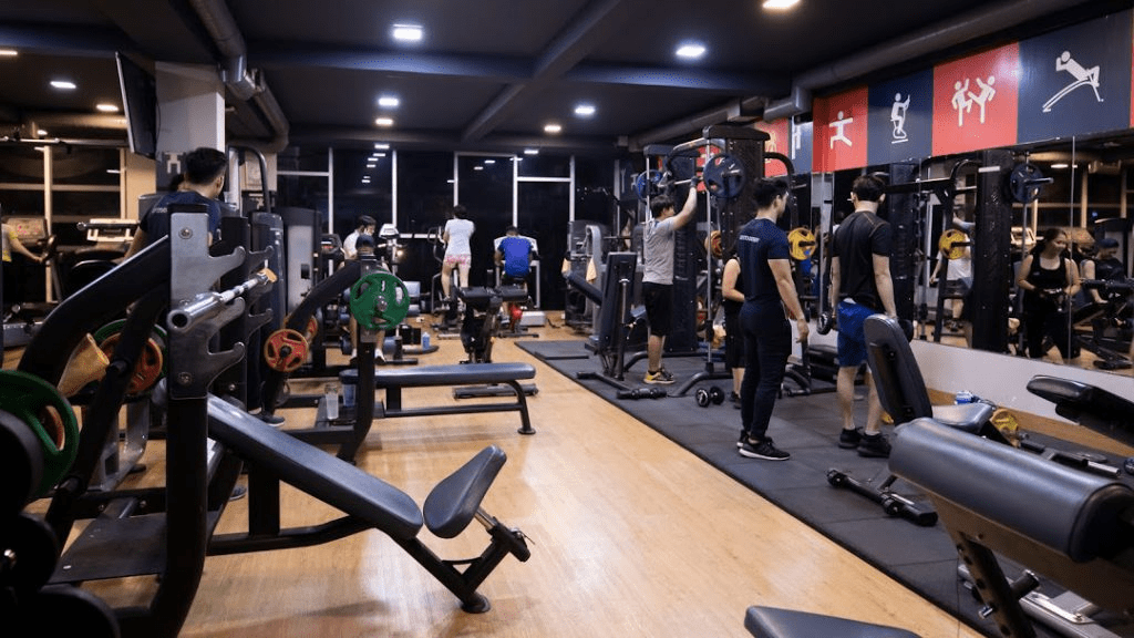 phòng gym vũng tàu