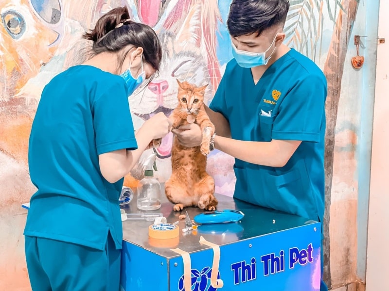 phòng khám thú y Bình Thạnh