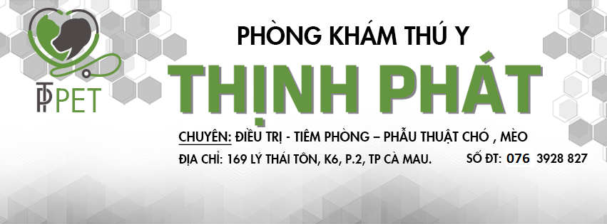 phòng khám thú y cà mau