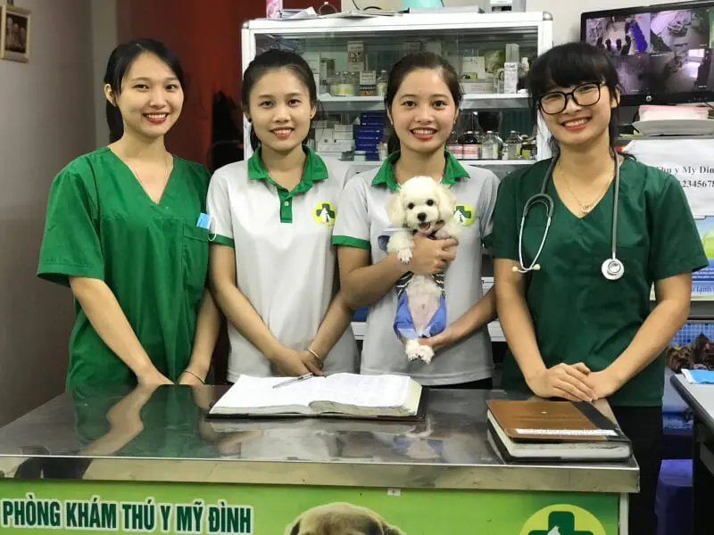 shop mỹ phẩm ở Huế