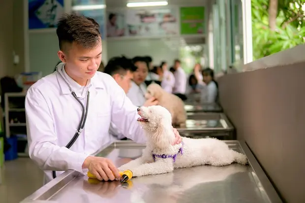 shop mỹ phẩm ở Huế