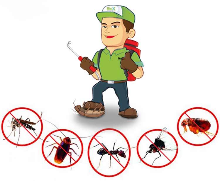 diệt mối Lai Châu Công Ty Kiểm Soát Mối & Côn Trùng Hàng Đầu Tỉnh Lai Châu