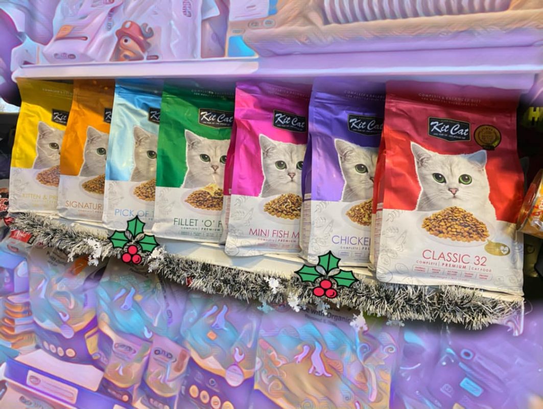 Shop thú cưng Sóc Trăng Shop thú cưng Sóc Trăng