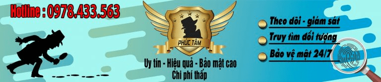 thám tử hà nam