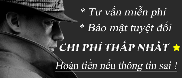 thám tử hà nam