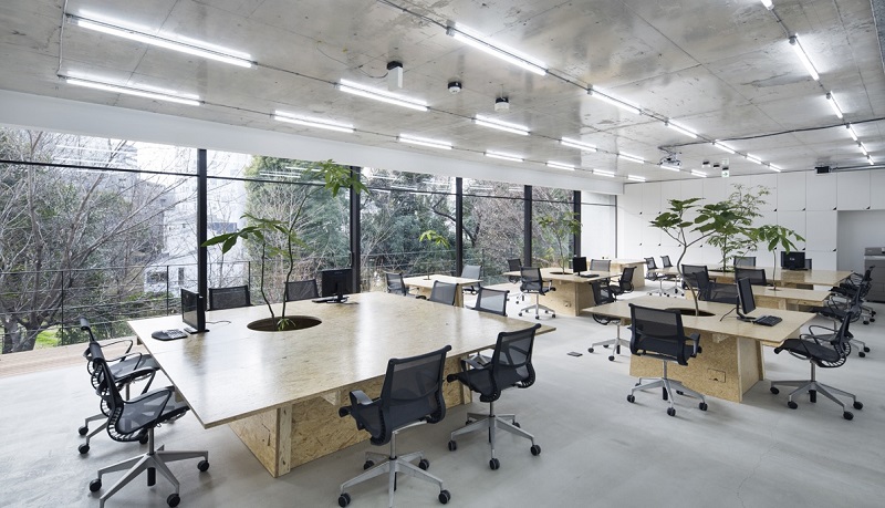 thi công văn phòng Quảng Trị Tuấn Phong Contractor