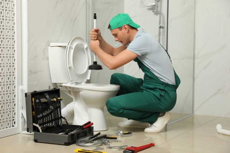 Thông Cống Đà Lạt Thông Cống Đà Lạt