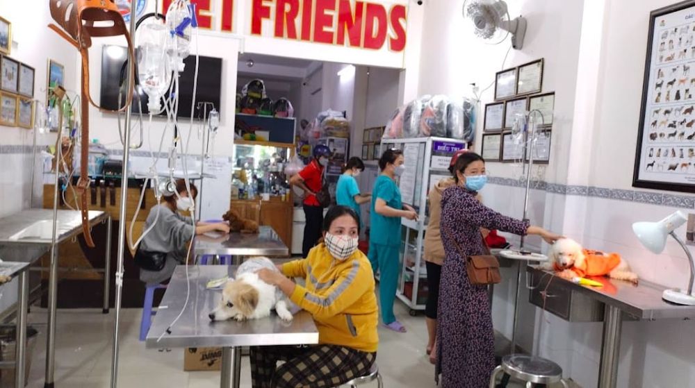thu-y-nha-trang-12 Bệnh Viện Thú Y Pet Friend