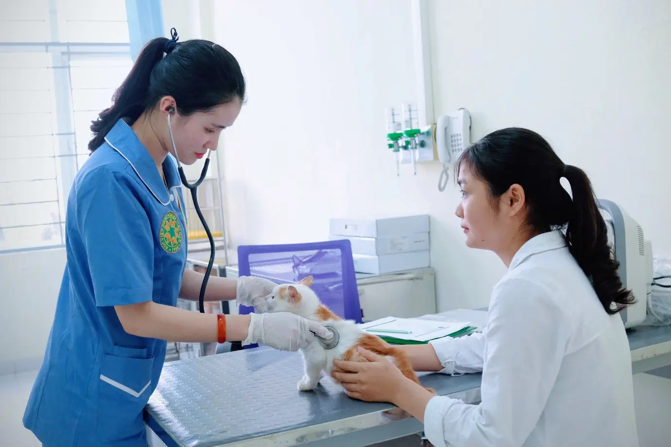 giày da nam Hải Phòng