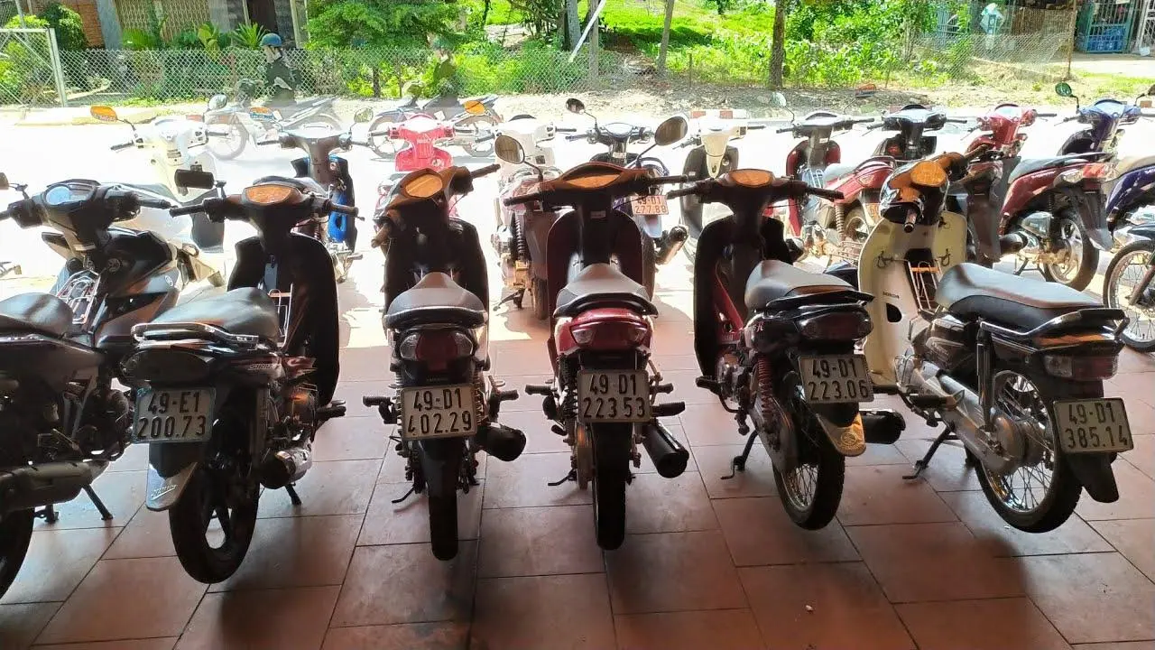 đá phong thủy đà nẵng đá phong thủy đà nẵng