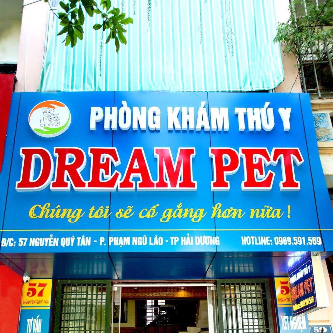 thú y Hải Dương thú y Dream Pet & Spa
