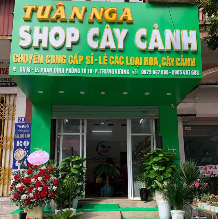 Shop cây cảnh Tuân Nga