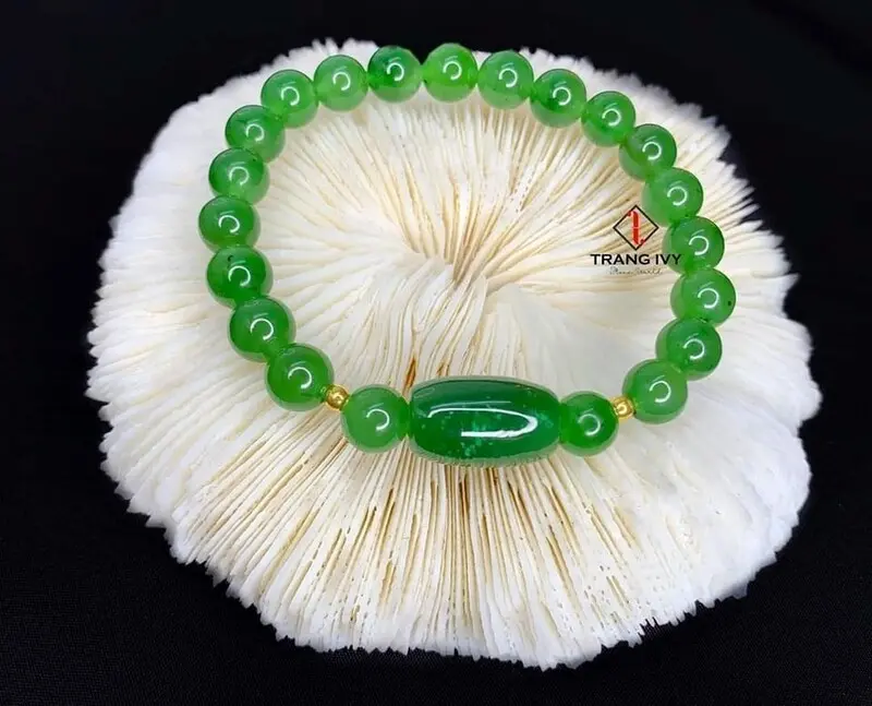 xe đạp điện Vĩnh Long