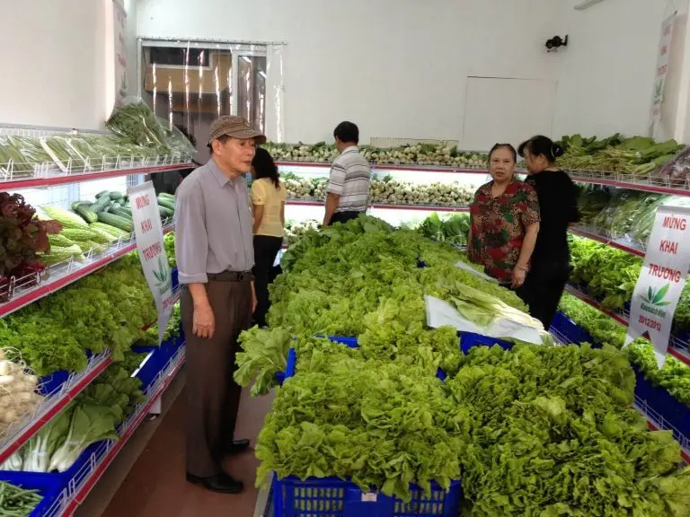 Xem Ngay 8 Cửa Hàng Rau Hữu Cơ Ở Hà Nội Uy Tín Nhất