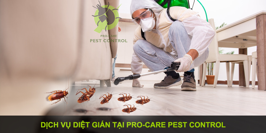 Công Ty Pro-Care Pest Control