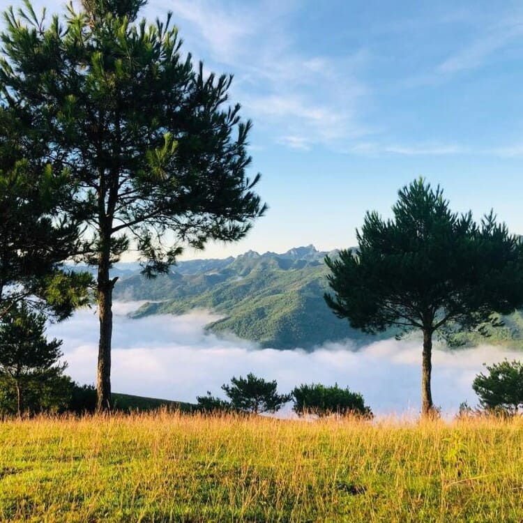 Pu Nhi Farm tại Bắc Yên