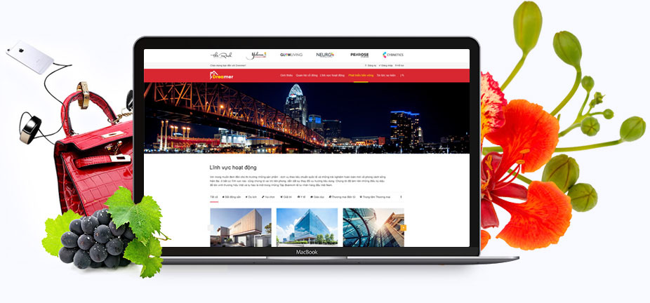 thiết kế web Hải Phòng Tín Nghĩa