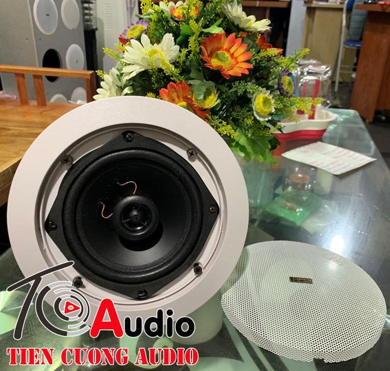 Tiến Cường Audio