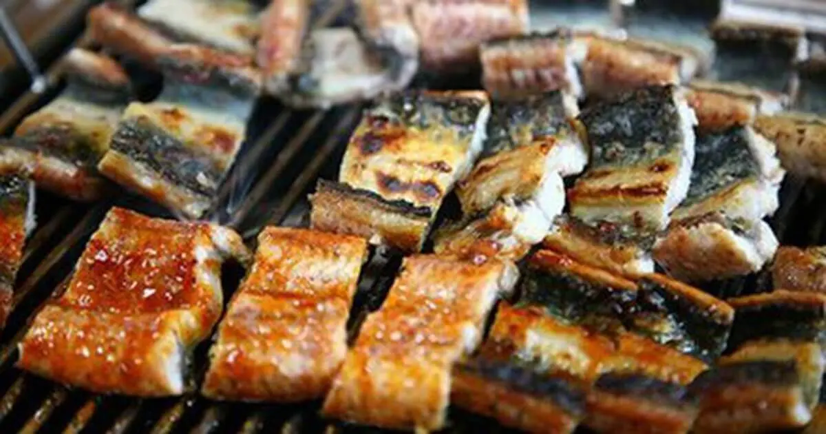 báo giá ốp nhựa giả đá phòng khách báo giá ốp nhựa giả đá phòng khách
